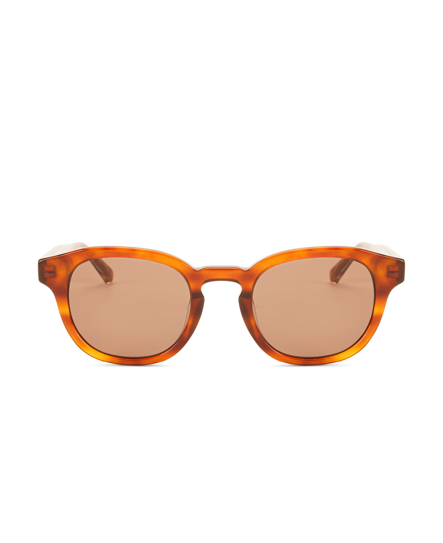 BILLE REVEAL Brown Transparent - Solbrille