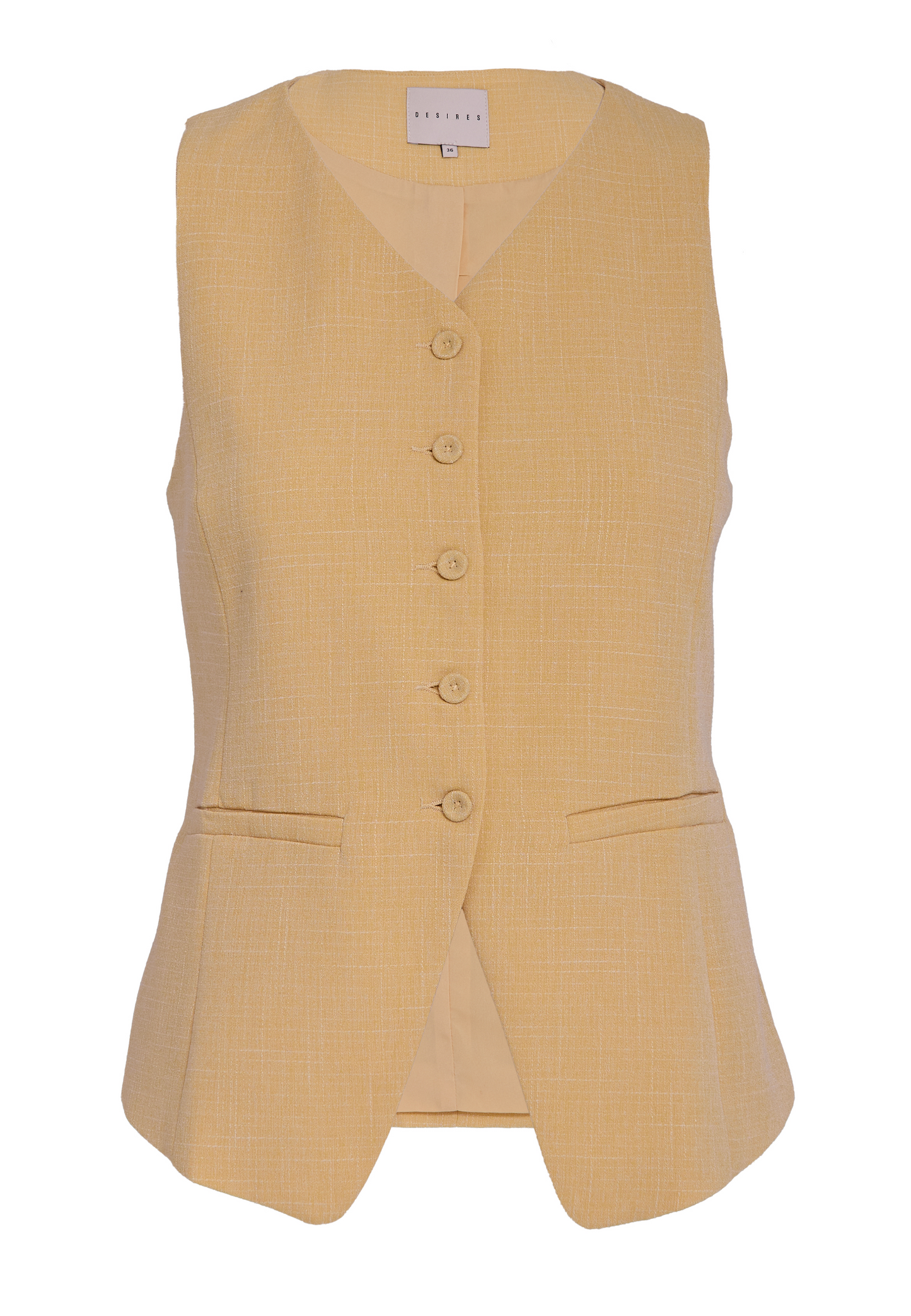 DSGemma Vest