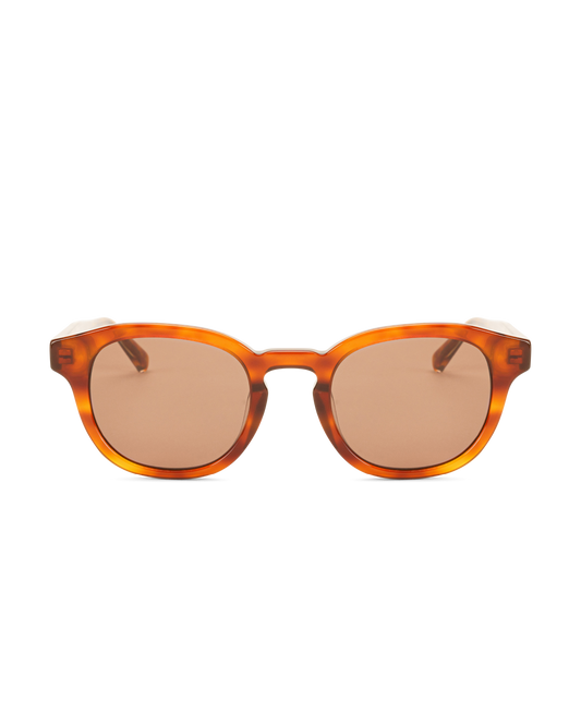 BILLE REVEAL Brown Transparent - Solbrille