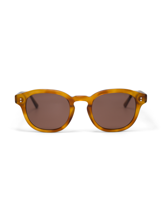 BILLE Brown Havana - Solbrille
