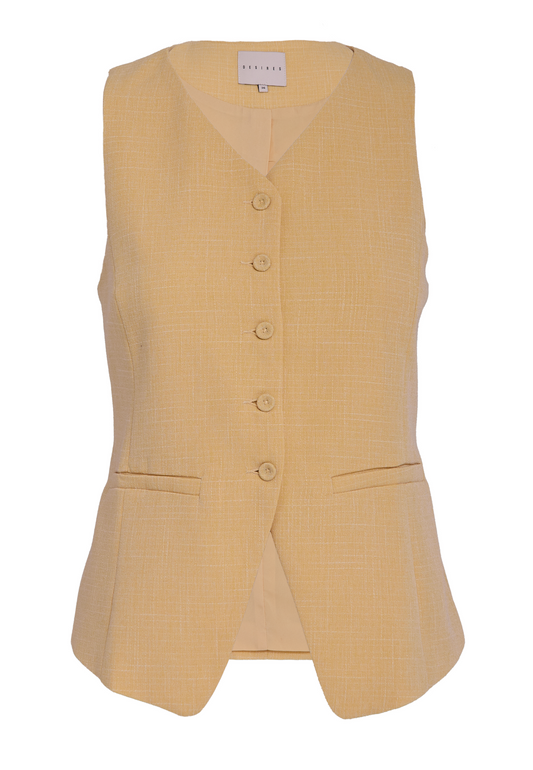 DSGemma Vest